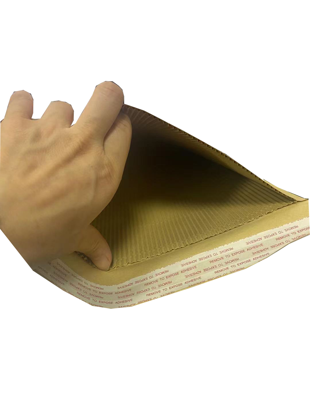 corrugated envelope 06.jpg